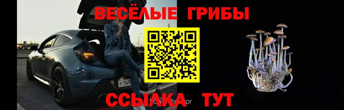 Псилоцибиновые грибы ЛСД  Вход с VPN  Северск 